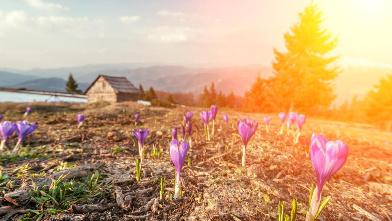 Vital Lodge Allgaeu Mit Oberstaufen Plus Экстерьер фото